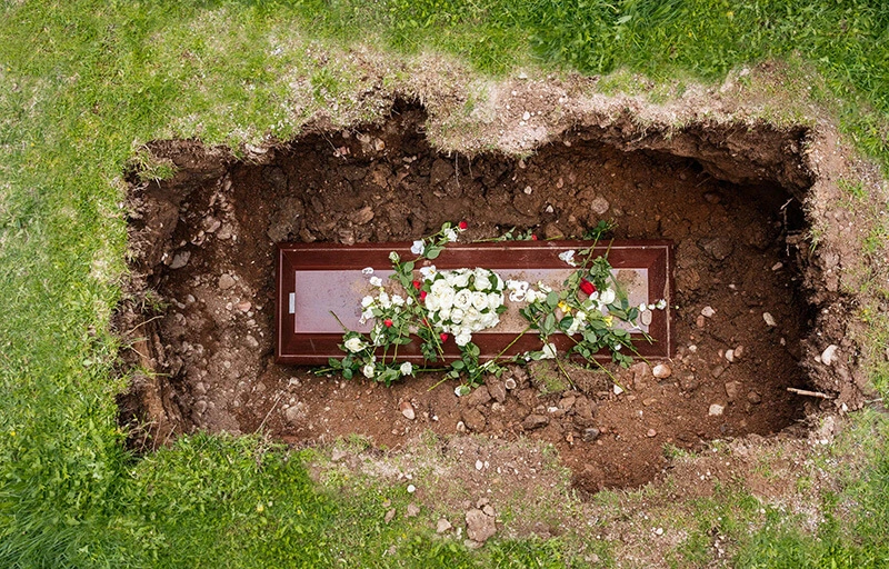 How Long Does It Take for Wood to Decompose Underground: Insights