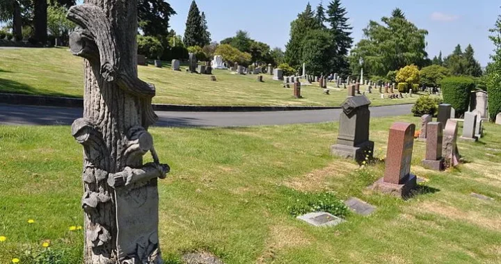 What-are-gravestones-that-look-like-trees