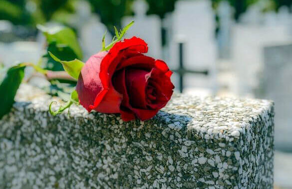What is the best flower to leave on a grave