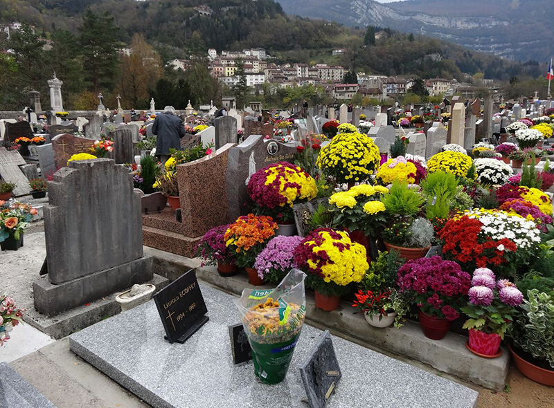What is the best flower to leave on a grave2